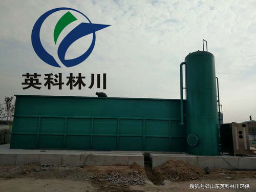 山楂制品加工污水處理與供熱設(shè)備綜合解決方案探討